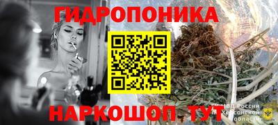 Альфа ПВП Канаш