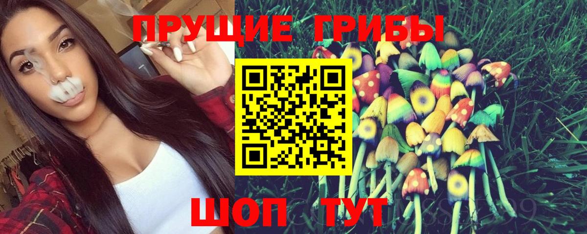 Галлюциногенные грибы MAGIC MUSHROOMS Кузнецк