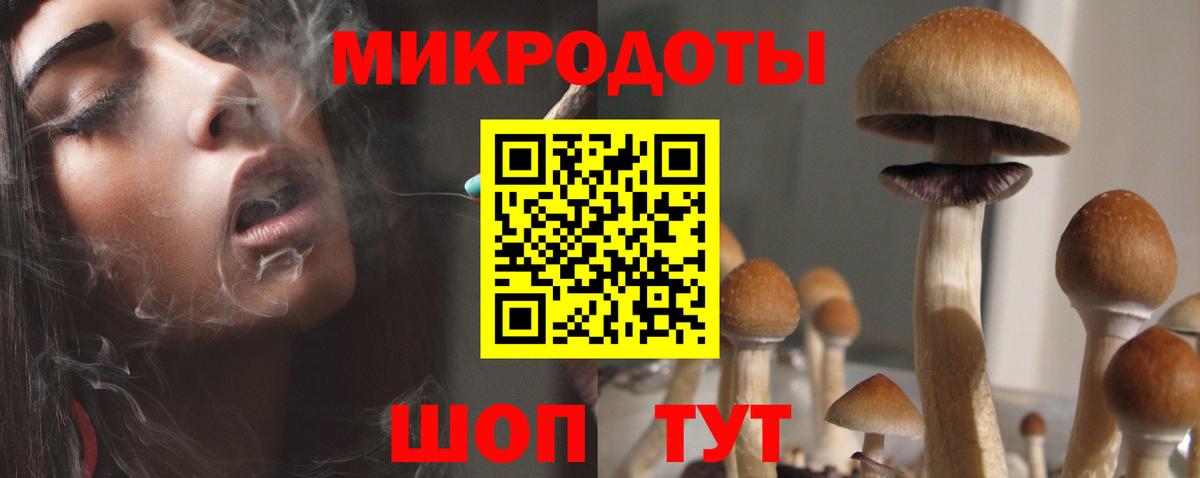 Кузнецк  Псилоцибиновые грибы Cubensis  хочу наркоту  Вход с VPN 